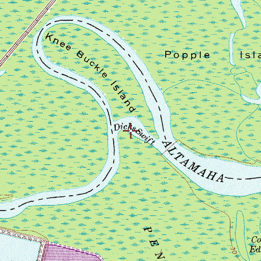 Topographic Map of Dicks Swift, GA