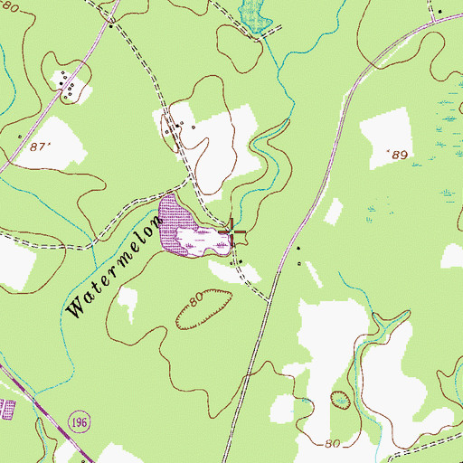 Topographic Map of Ditch Branch, GA