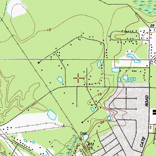Topographic Map of Dixon Swamp, GA