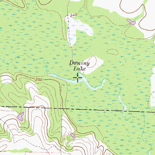 Topographic Map of Dominy Lake, GA