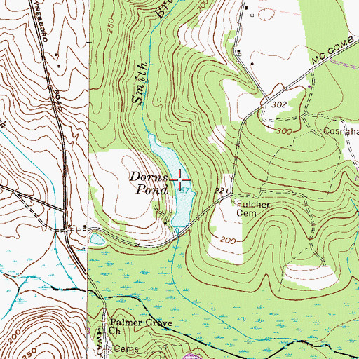 Topographic Map of Dorns Pond, GA