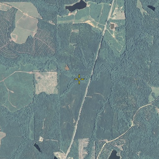 Aerial/Satellite Image of Double Branch, GA