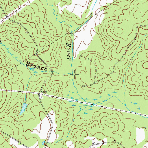 Topographic Map of Double Branch, GA