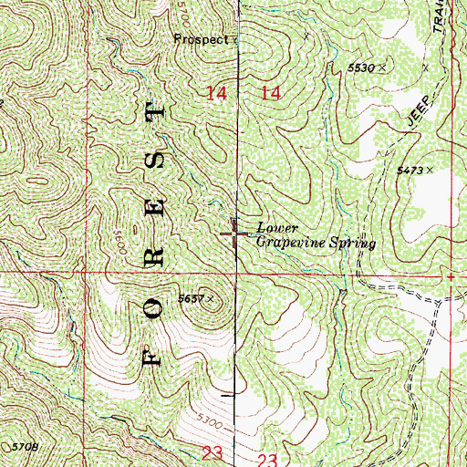 Topographic Map of Lower Grapevine Spring, AZ