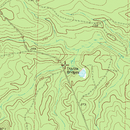 Topographic Map of Double Bridges, GA