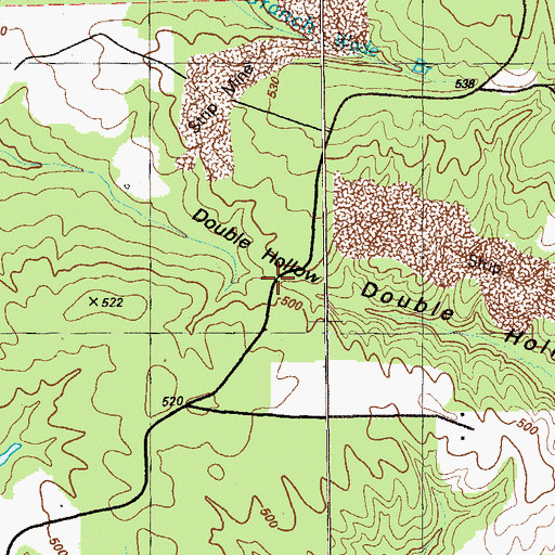 Topographic Map of Double Hollow, GA