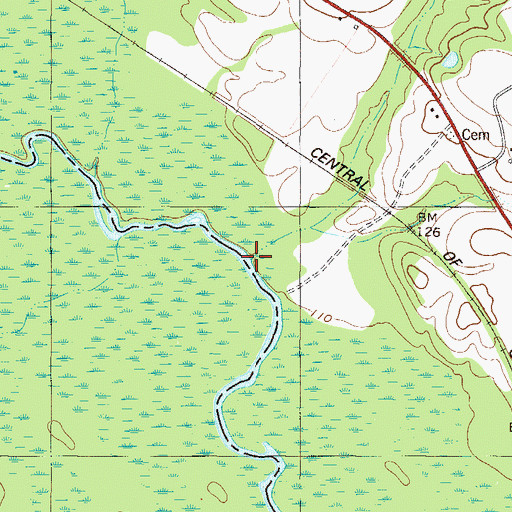 Topographic Map of Douglas Branch, GA