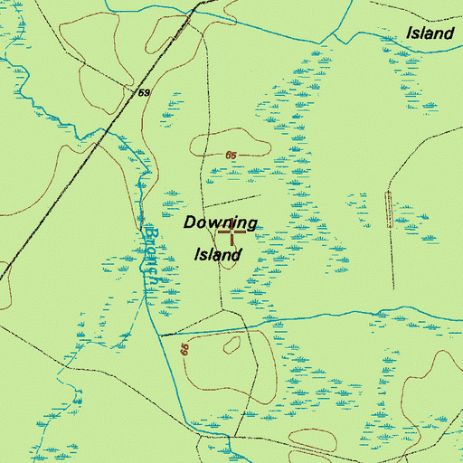 Topographic Map of Downing Island, GA