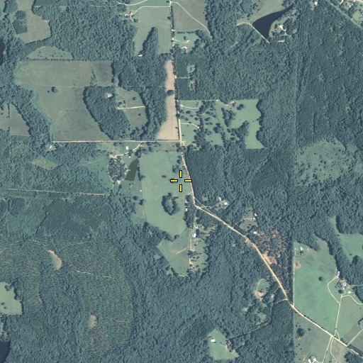 Aerial/Satellite Image of Driver Cemetery, GA
