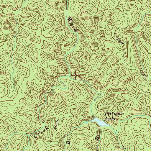 Topographic Map of Drum Creek, GA