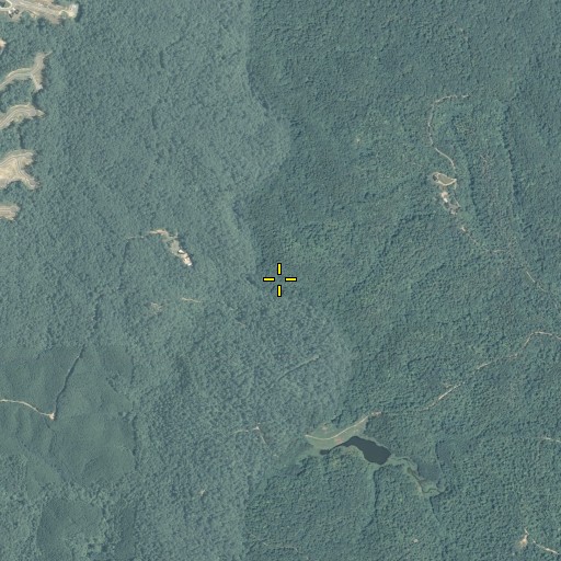 Aerial/Satellite Image of Drum Creek, GA