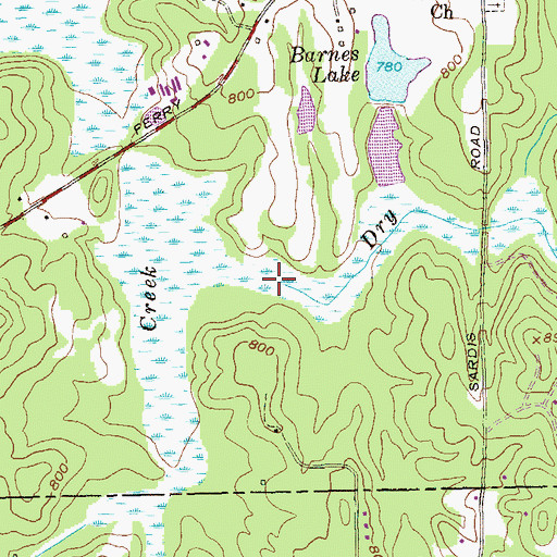 Topographic Map of Dry Branch, GA