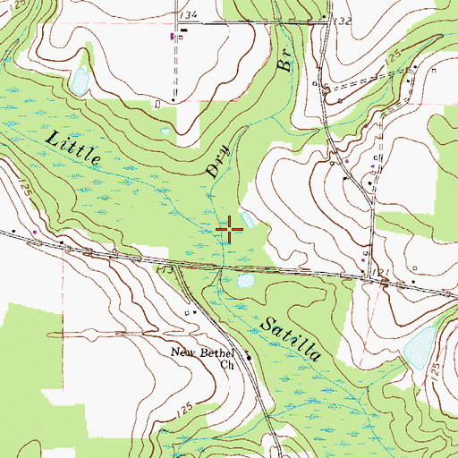 Topographic Map of Dry Branch, GA