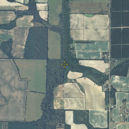 Aerial/Satellite Image of Dry Creek, GA