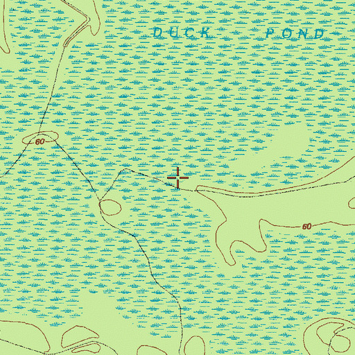 Topographic Map of Duck Pond, GA