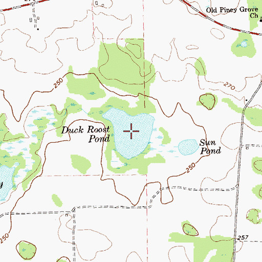 Topographic Map of Duck Roost Pond, GA