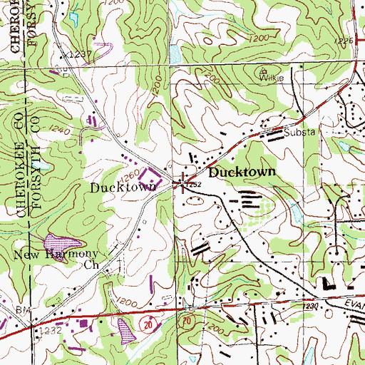 Topographic Map of Ducktown, GA