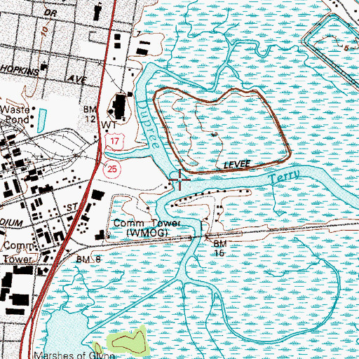Topographic Map of Dupree Creek, GA
