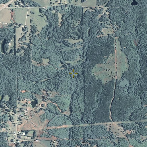 Aerial/Satellite Image of Dye Branch, GA