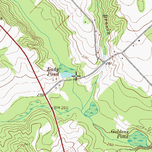 Topographic Map of Eady Pond, GA