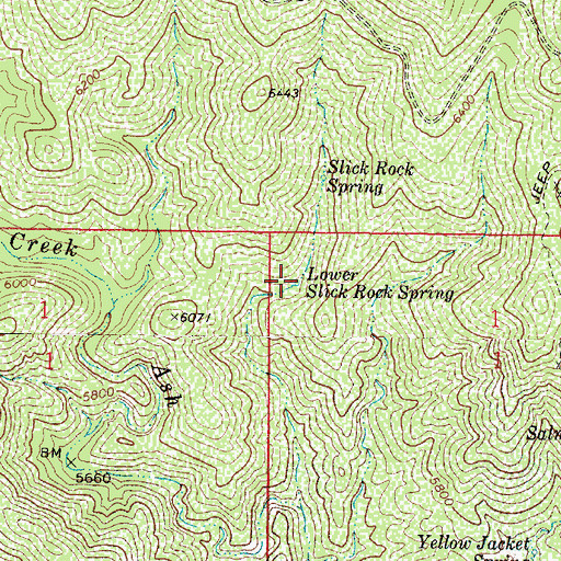 Topographic Map of Lower Slick Rock Spring, AZ