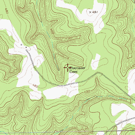Topographic Map of Ebenezer Cemetery, GA