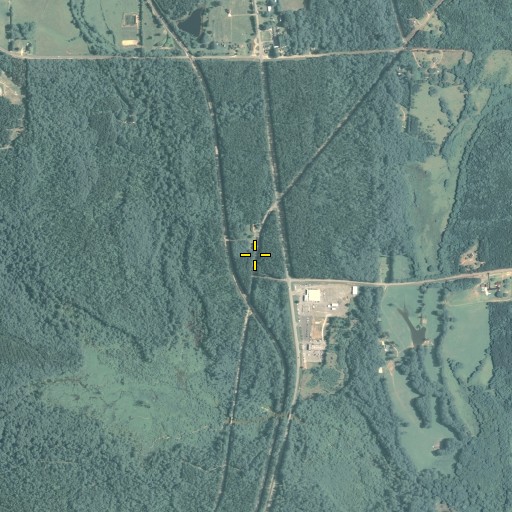 Aerial/Satellite Image of Ebenezer Cemetery, GA