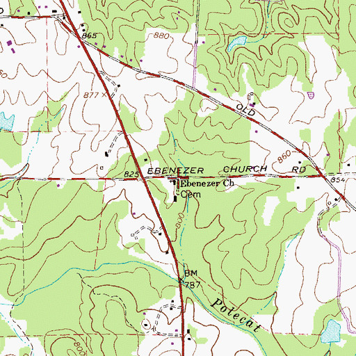 Topographic Map of Ebenezer Church, GA