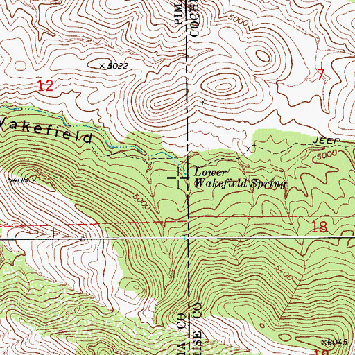 Topographic Map of Lower Walkerfield Spring, AZ