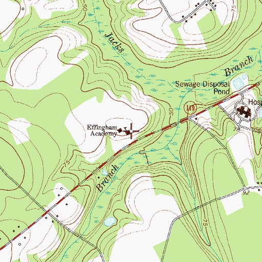 Topographic Map of Effingham Academy, GA