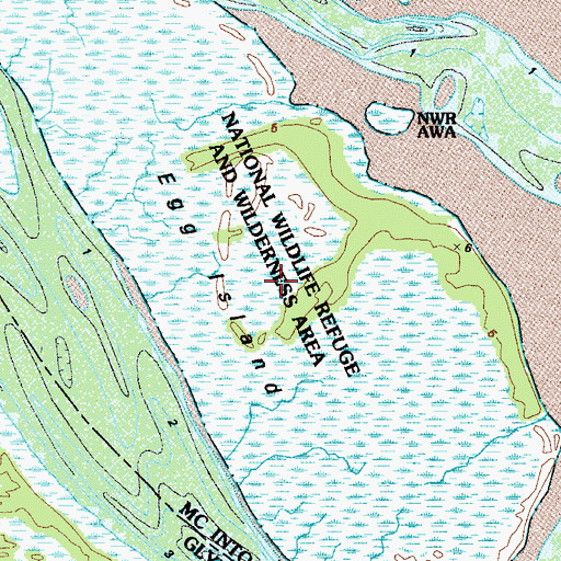 Topographic Map of Egg Island, GA