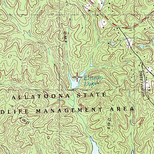 Topographic Map of Ellison Lake, GA