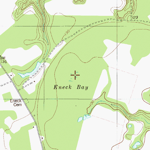 Topographic Map of Eneck Bay, GA