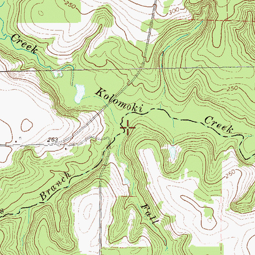 Topographic Map of Fall Branch, GA