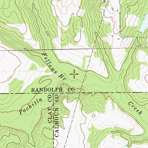 Topographic Map of Fellows Branch, GA