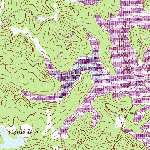 Topographic Map of Fellowship Lake, GA