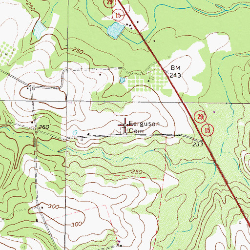 Topographic Map of Ferguson Cemetery, GA