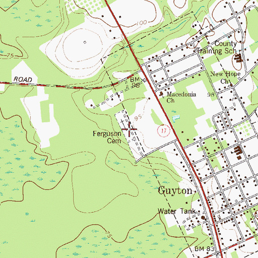 Topographic Map of Ferguson Cemetery, GA