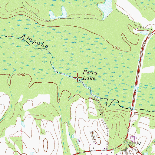 Topographic Map of Ferry Lake, GA
