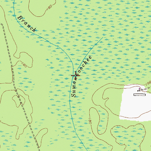 Topographic Map of Fish Branch, GA