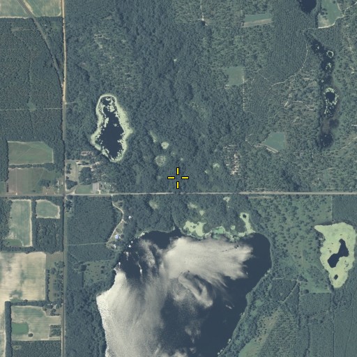 Aerial/Satellite Image of Fishpond Drain, GA