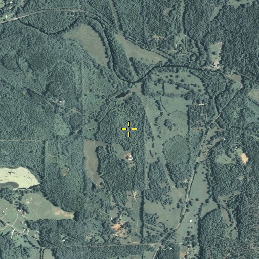 Aerial/Satellite Image of Fite School, GA