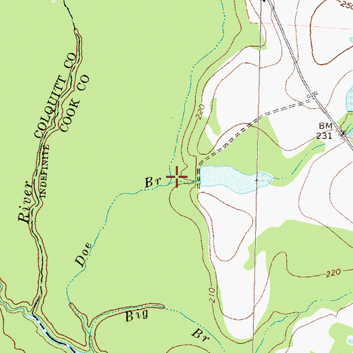 Topographic Map of Flat Branch, GA
