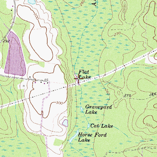 Topographic Map of Flat Lake, GA