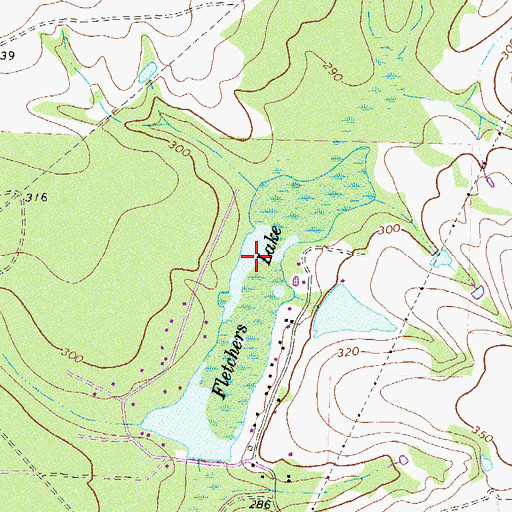 Topographic Map of Fletchers Lake, GA