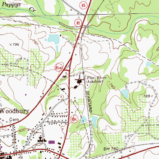 Topographic Map of Flint River Academy, GA