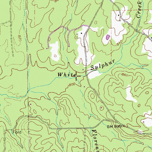 Topographic Map of Florence Branch, GA