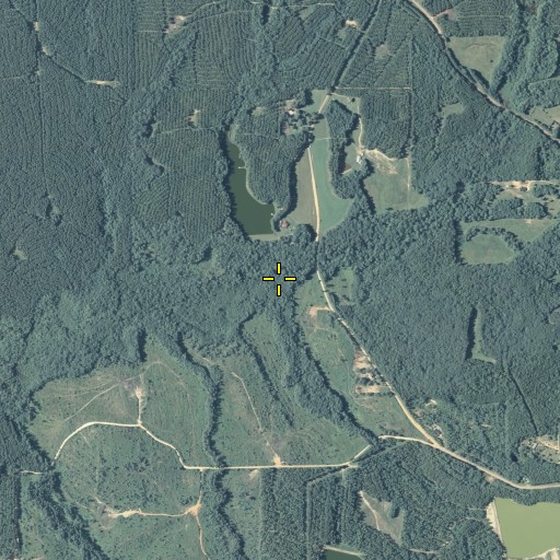 Aerial/Satellite Image of Florence Branch, GA