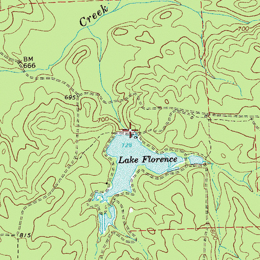 Topographic Map of Lake Florence, GA