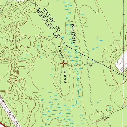 Topographic Map of Flowers Island, GA